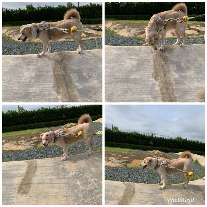 D2100090 a259 4b56 984c 37fc51e3ccec 1561430073258