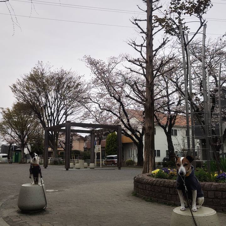 D2102c18 ff06 4b08 98b9 1f20de0ffc22 1774826468676