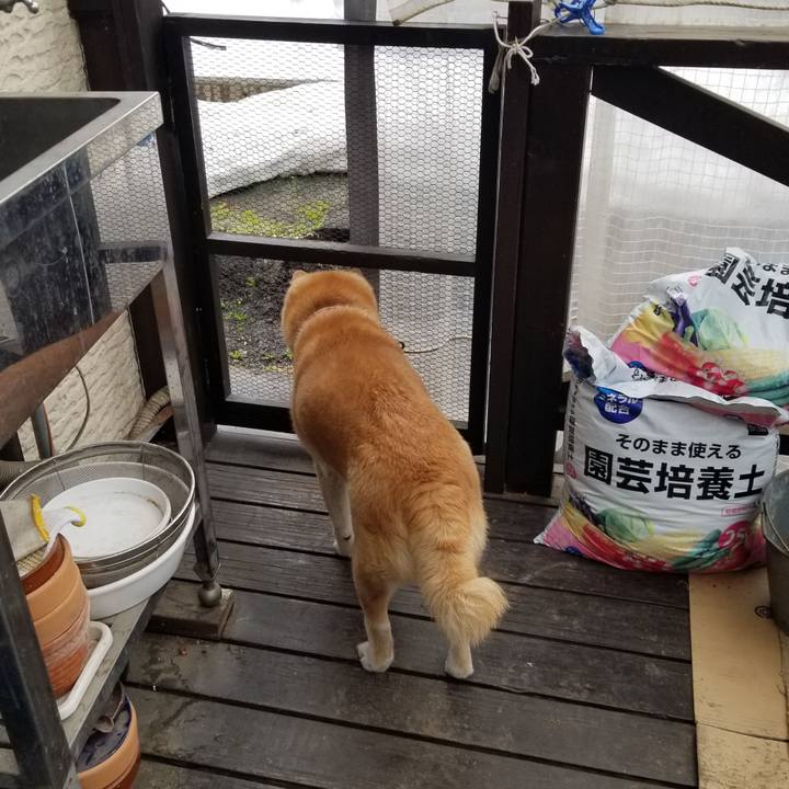 D21053eb 5dda 46be bcf7 2a6446b25a89 1743550182372