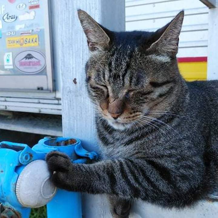 D2107ba1 77c9 4bdd b5fc 4f09e9857eba 1627953303414