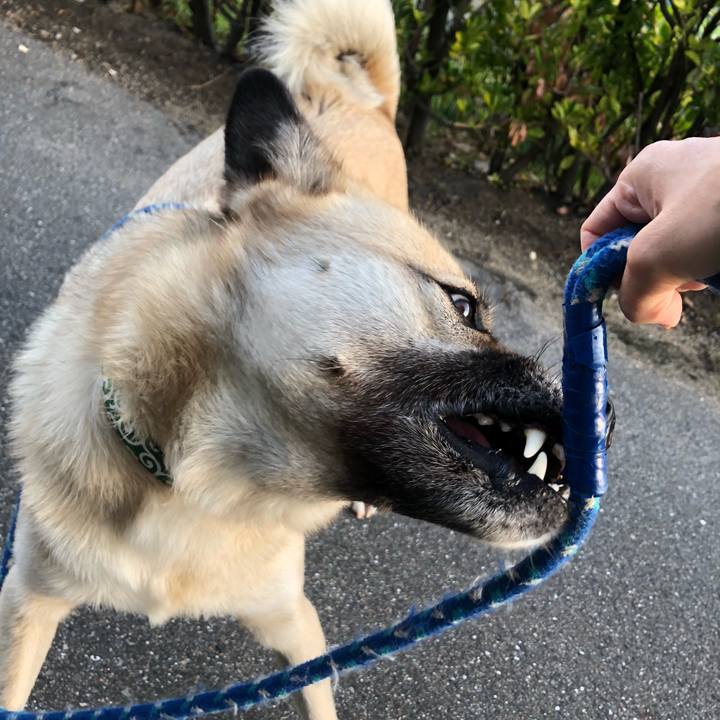 D21081aa af2e 476a 94fa 82fe7dd88d89 1606389304597