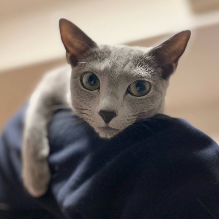 D21094e8 cd5a 48d7 8a8f eebd678a0251 1641788733517