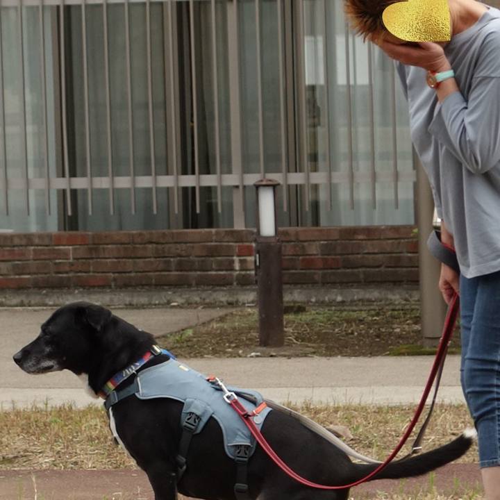 D210d53d 0da1 4170 b867 4ee2b8e1b9a2 1729036879954