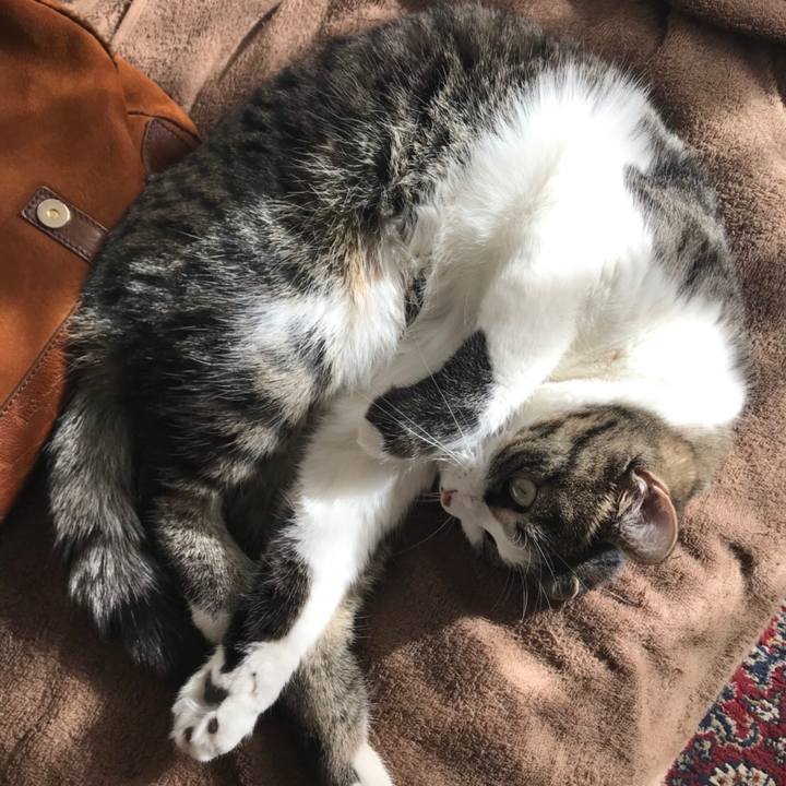 D210d9c0 3cbf 401b be6f 7f5a963dcaea 1519309558827