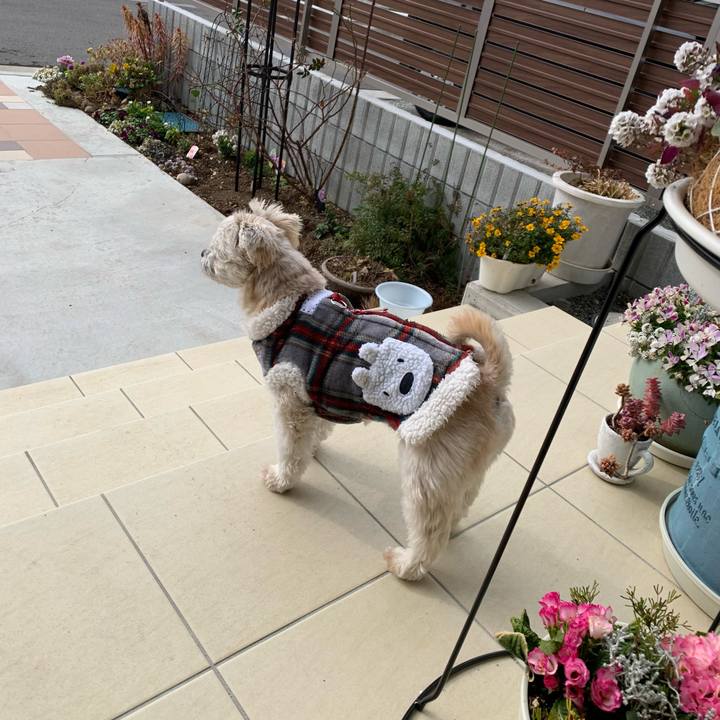 D2114111 3b86 4741 982a a924b04cd806 1643026258684