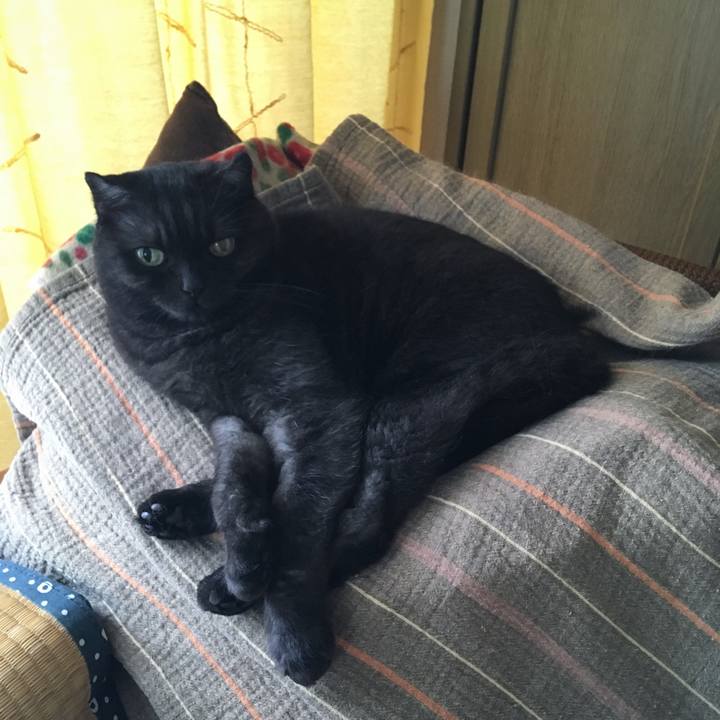 D211649e a1e4 4467 85f8 729574d8e5a5 1536893979165