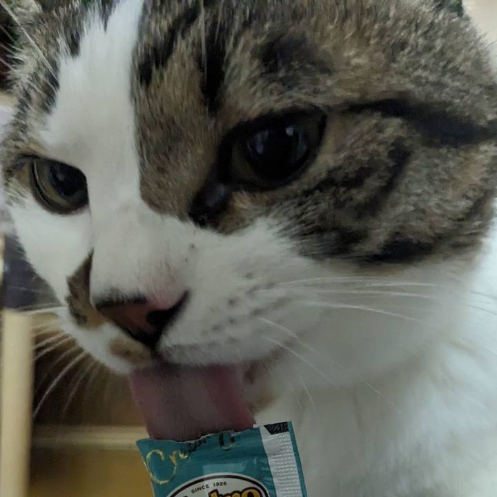 D2117895 f6c8 4997 bd42 71d2e8907481 1716810237984