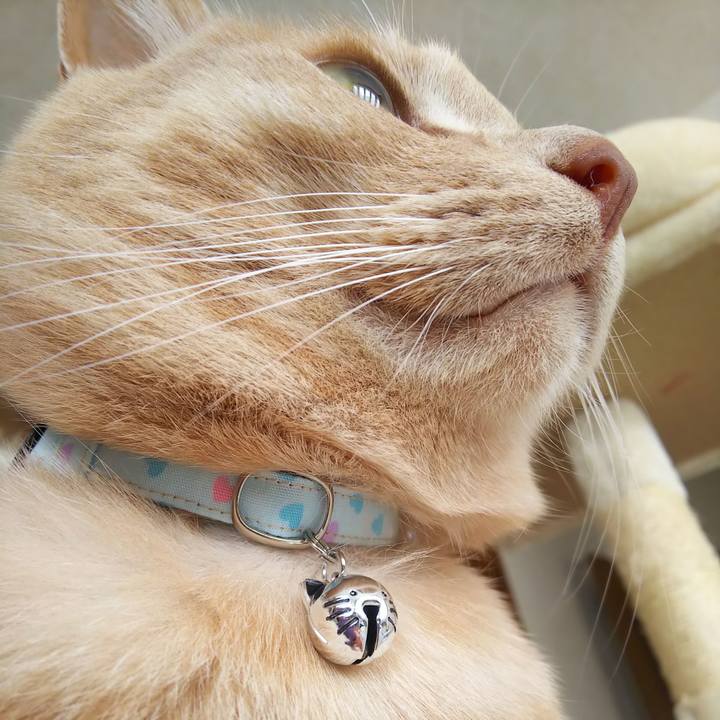 D2118ce7 06d6 47ac 9dc3 beb0b525d7c3 1619836718912