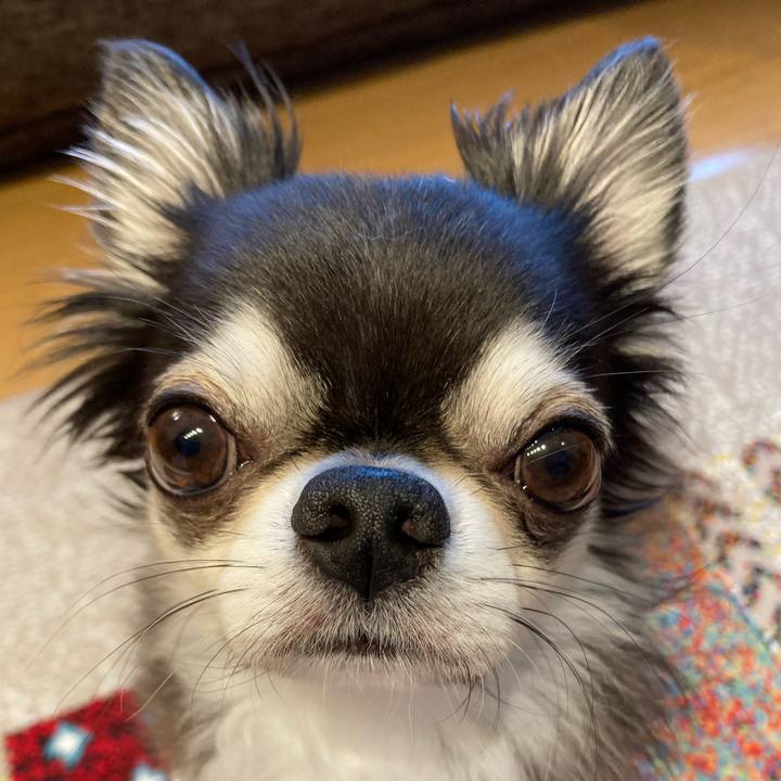 D211a9f5 1873 4068 a71a 8d48a9ac6904 1716593082251