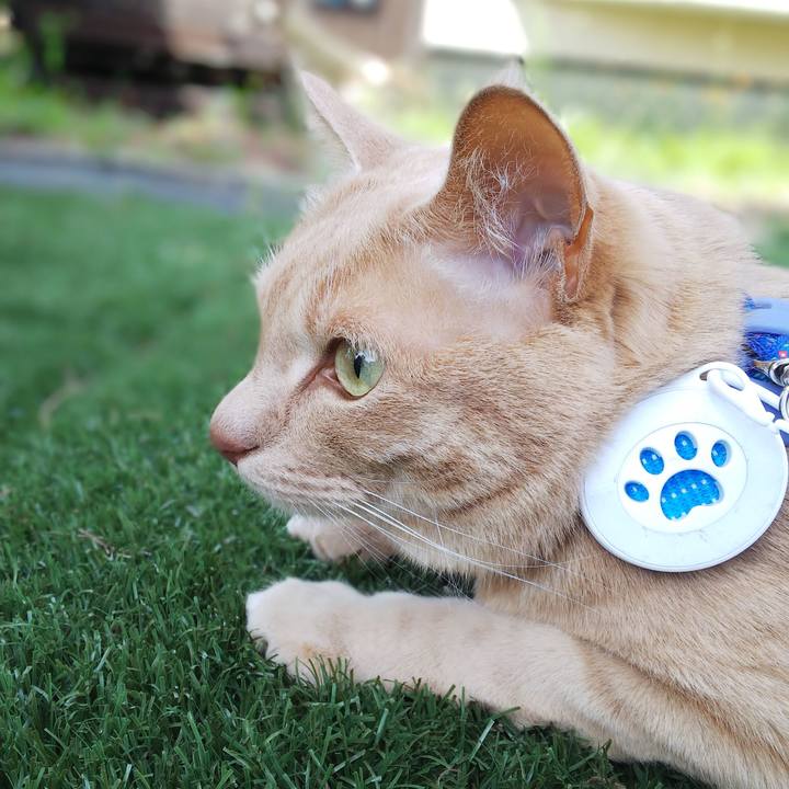 D211b19e f8f9 4d7c 8203 20ebc3b12d3a 1623557792983