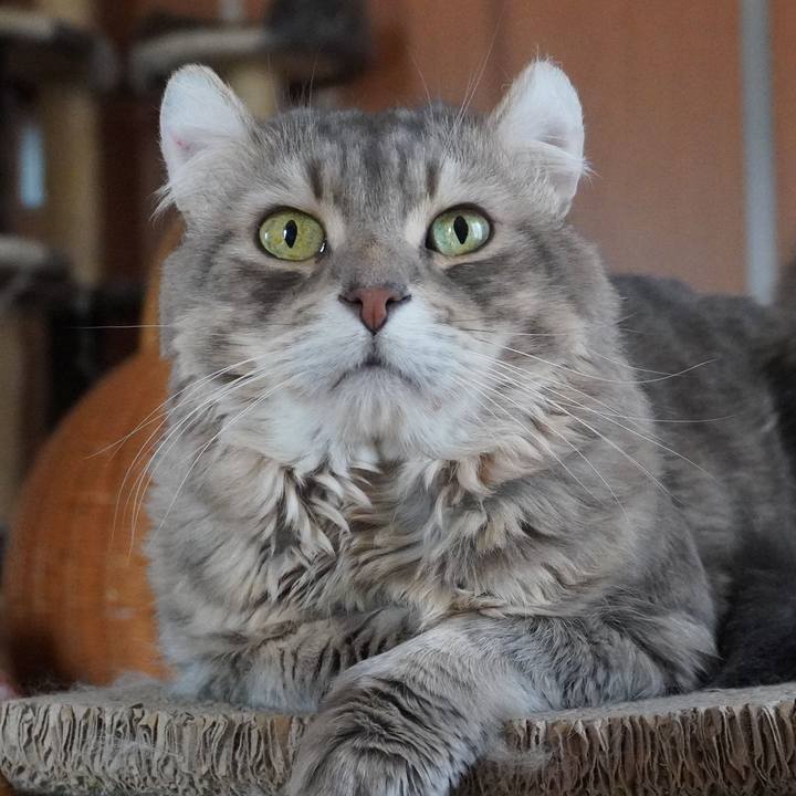 D2120e6a 2e06 457c a814 776d2cac9930 1767426727385