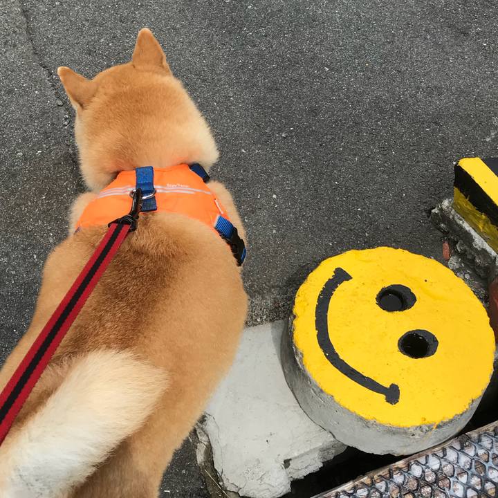 D2121d69 0b3d 4d14 a7b7 a4a313564b52 1529730178289