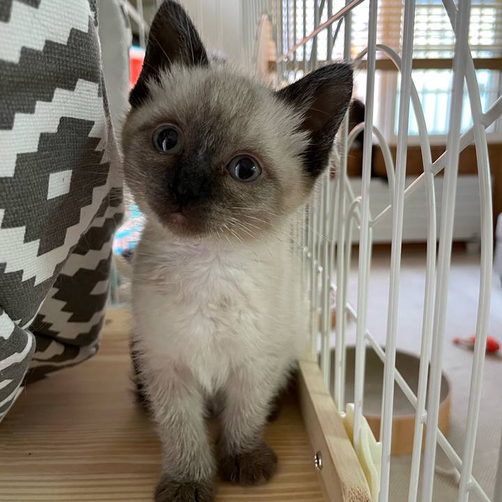 D2123d89 fc2d 4039 855b 9f039d364c75 1686426521225