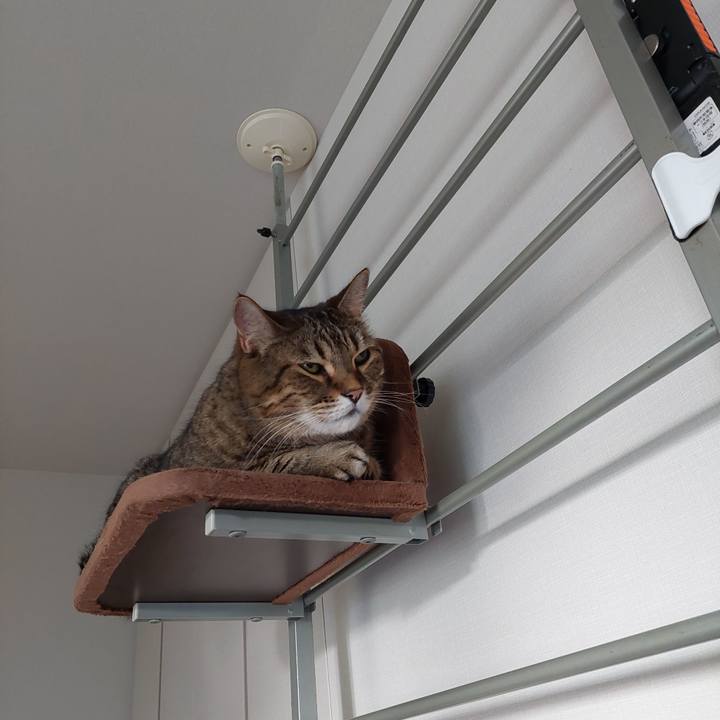 D2126fc2 86b1 4936 83aa 57e3686b08c2 1697670312830