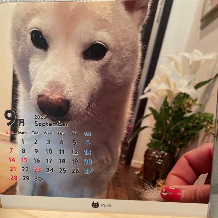 D2128c46 6359 4f10 b2af ba5cb45604c8 1756729510324