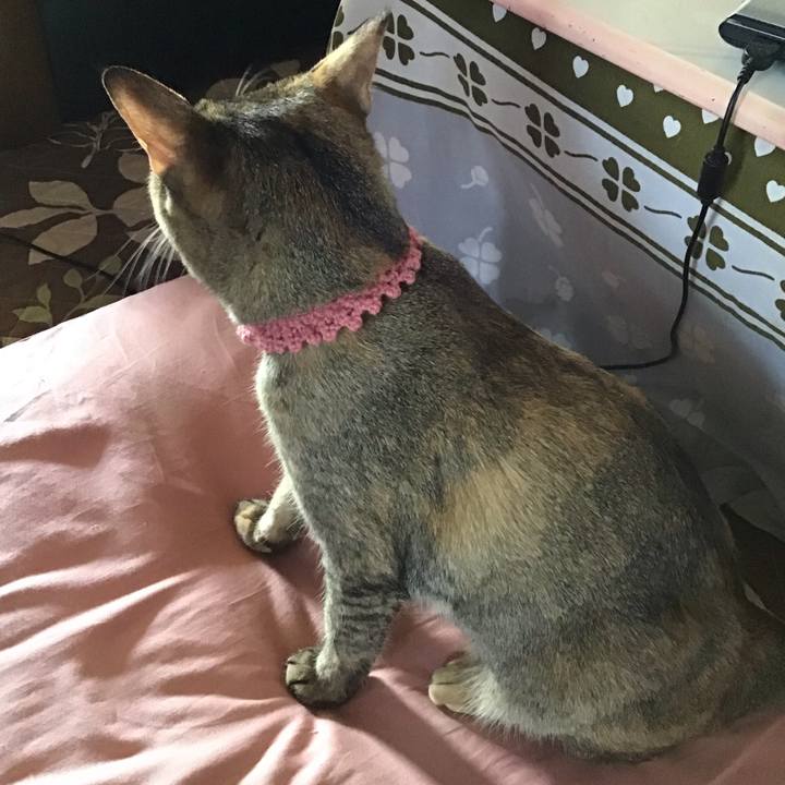 D212a4e0 6968 4f13 b105 0e7b88fc45c0 1588156463077