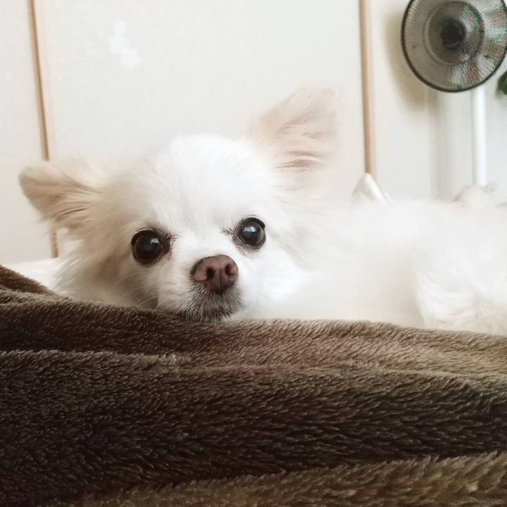 D2131b0e f86f 4b92 a461 61790fc81c68 1654243113655