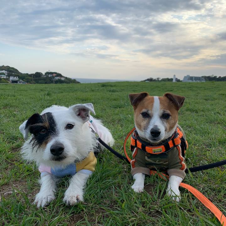 D2131b7b bcd4 4f27 965e 7b0d3f1d9779 1617698031646