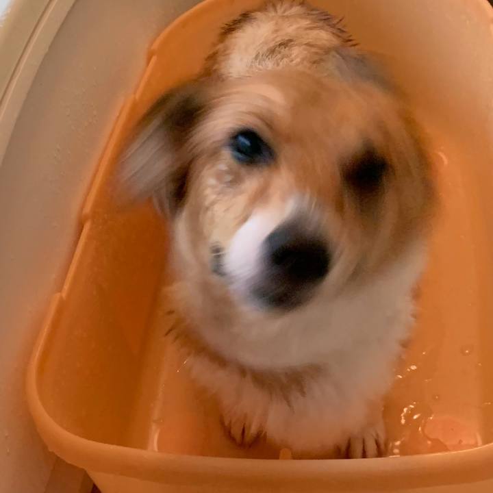 D2133e04 f028 44e1 9529 9c02079504da 1563608503072