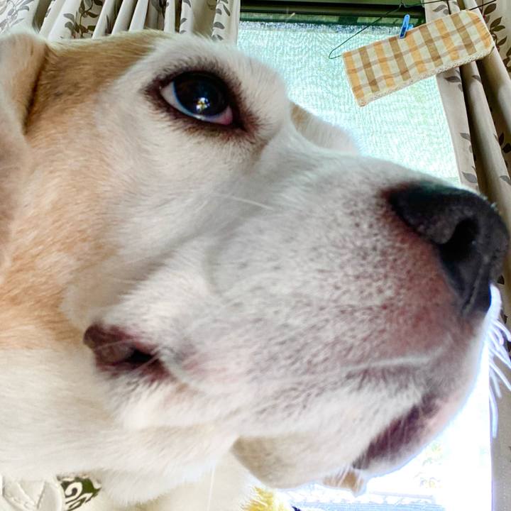 D2135b6f 8277 426d a6cd b99f09889de1 1603339320901