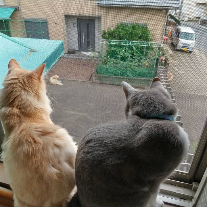 D213707d 40fc 4600 89d9 1fb89c52c1bd 1623455069446