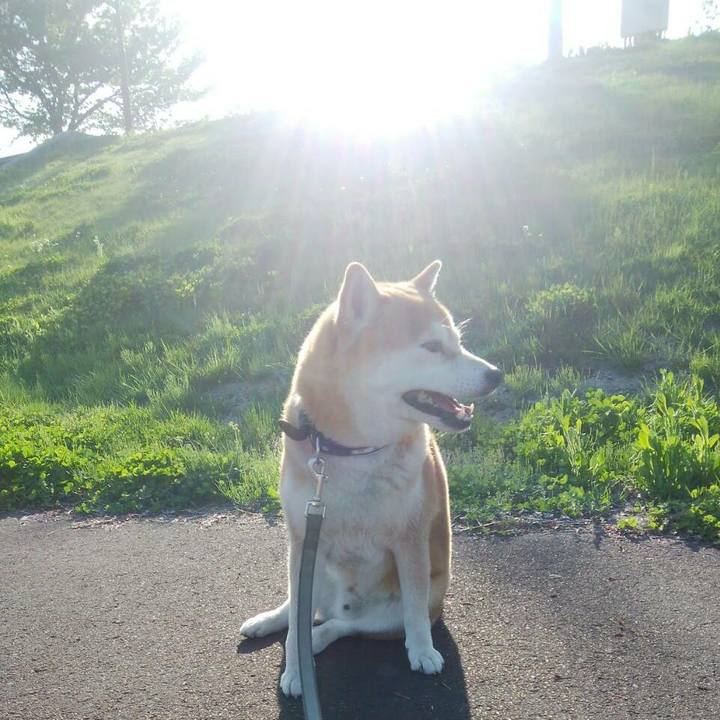 D213c8ff 6dea 4161 aa5d 317835858ac4 1525515379668