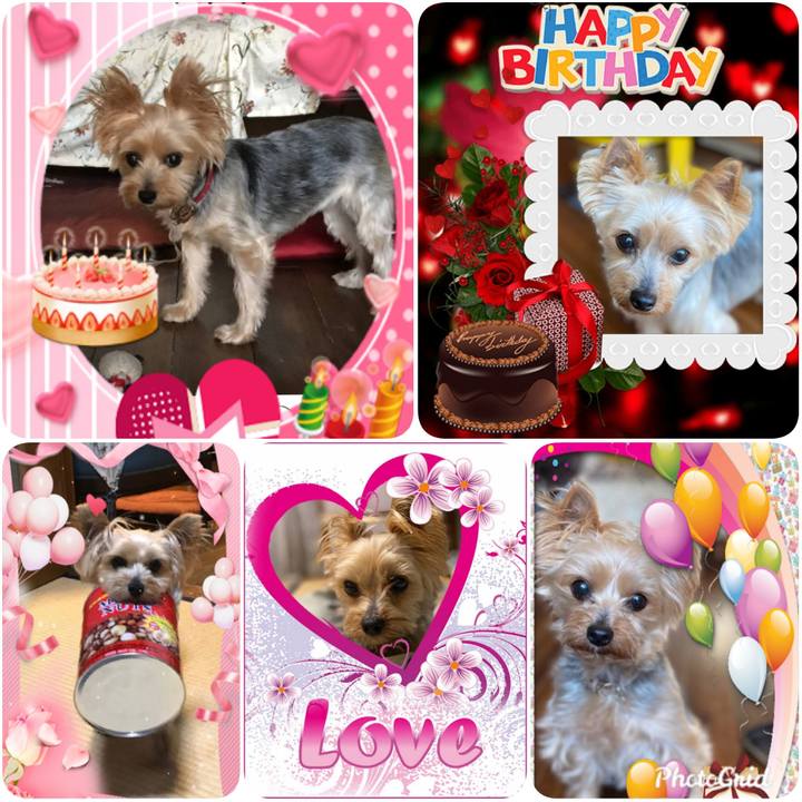 D213e133 3b0c 4cd4 9fbb 82a9799a25cd 1581963483184