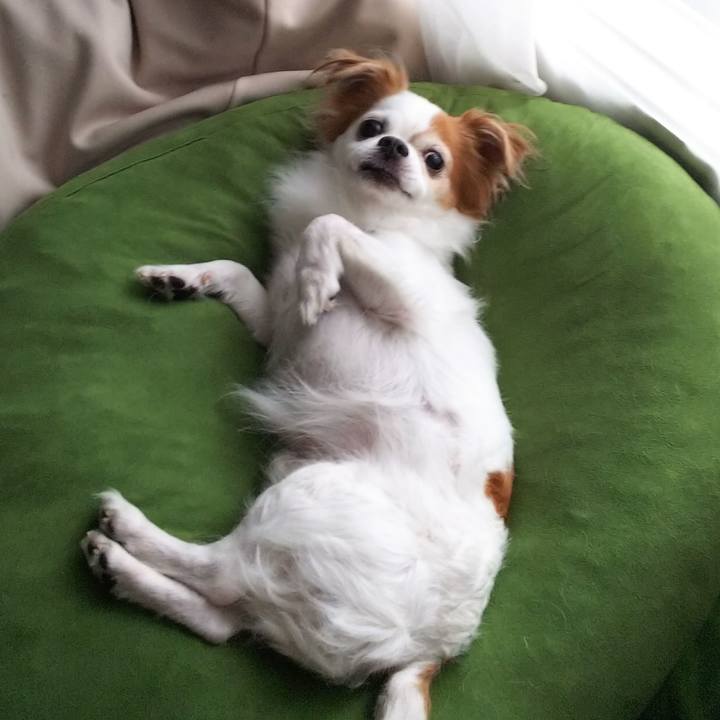 D213e262 cd18 423e 8657 567f8f4b0d9b 1751109050127