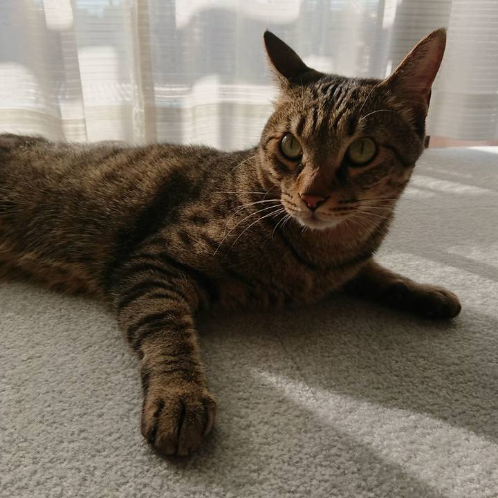 D2140789 de67 4c66 a958 b7fc606ebf1a 1570947304665