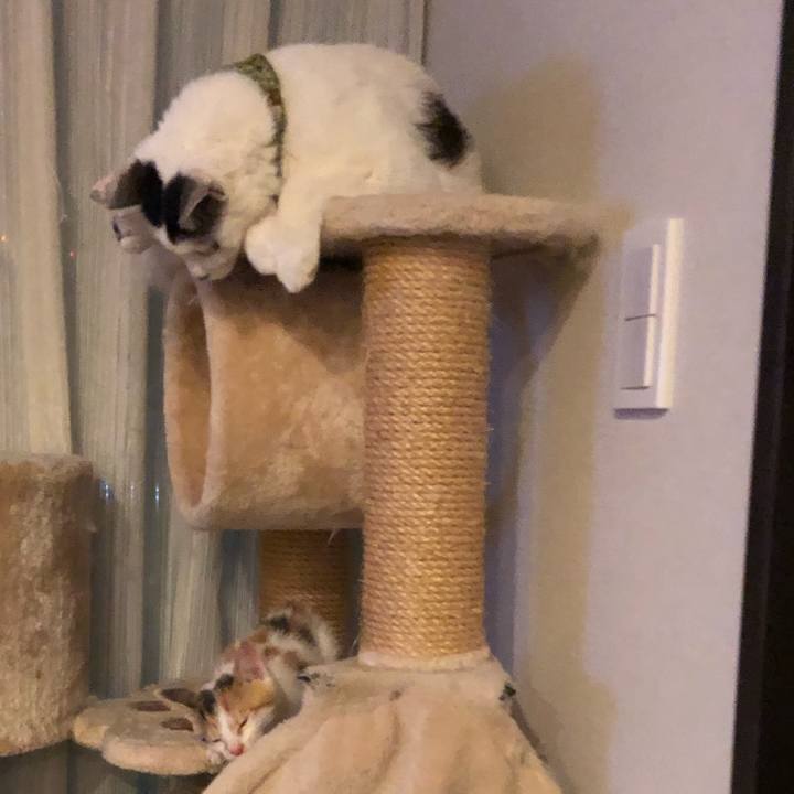 D214352b e3f4 4448 a7e6 39eca0bdd1ec 1561558205643