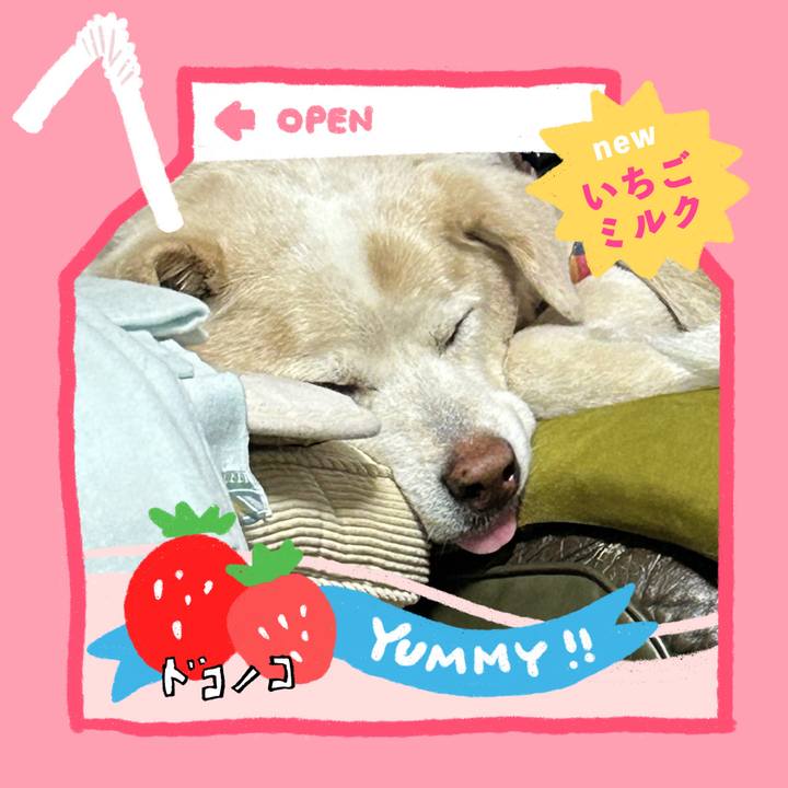 D2145019 8d8d 4d50 8ba2 406da6b24bb9 1711372886179