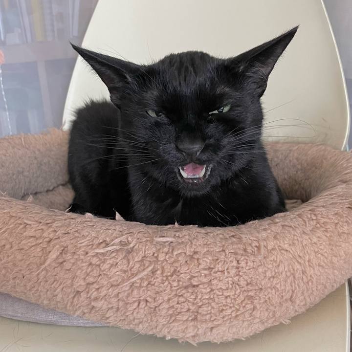 D2146686 08a6 4ece 8e60 65d79be17f83 1690633037428