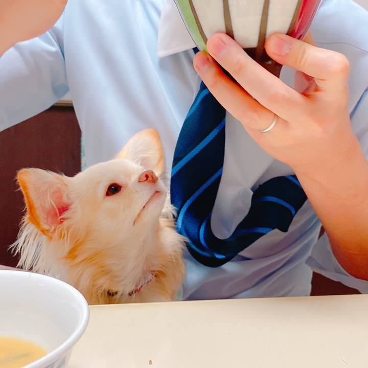 D214798c c0b4 4329 867d 5d9524cb35f9 1637290318438