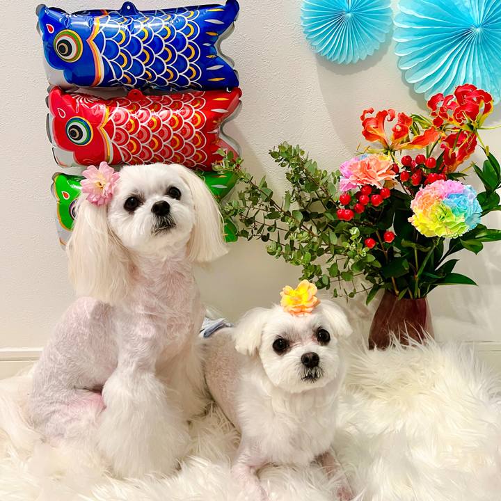 D2148728 659e 4253 89fa f984387f2d49 1682752838217