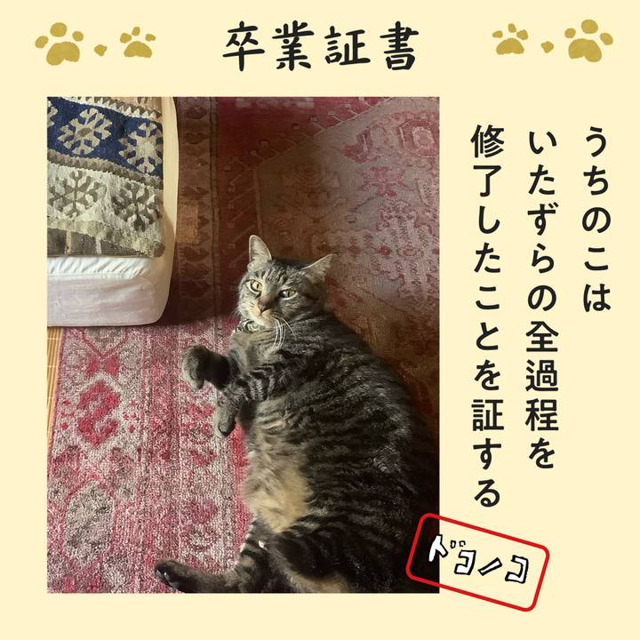 D214a507 13af 4369 b492 e66653ebf42c 1771813183614