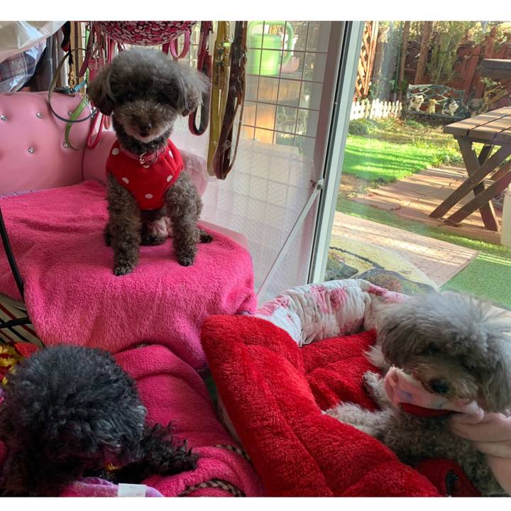 D214df61 e02c 4a18 aa46 22b0e8b22071 1610869632831