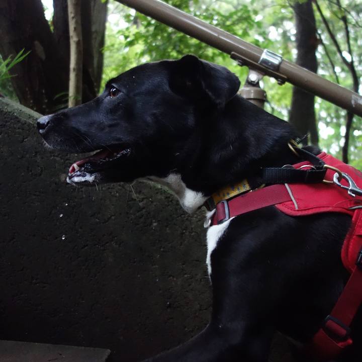 D214ea13 4271 459d 9990 56c222bb3c75 1599955778512