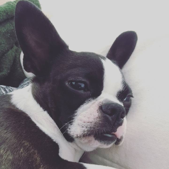 D2151489 1979 4d86 981a 571be4c9b425 1514427598559