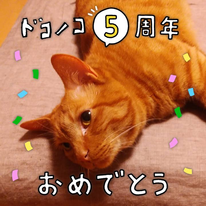 D21522e2 eb0b 41d3 a15a c12b8ee89069 1622907453476