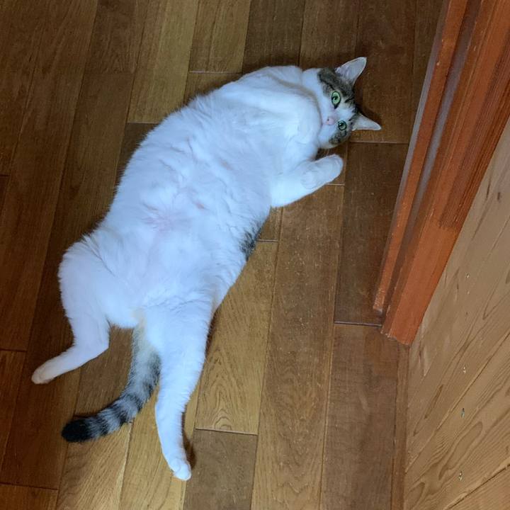 D215917c e456 432a b3d2 7b3cfd85302a 1626136305959