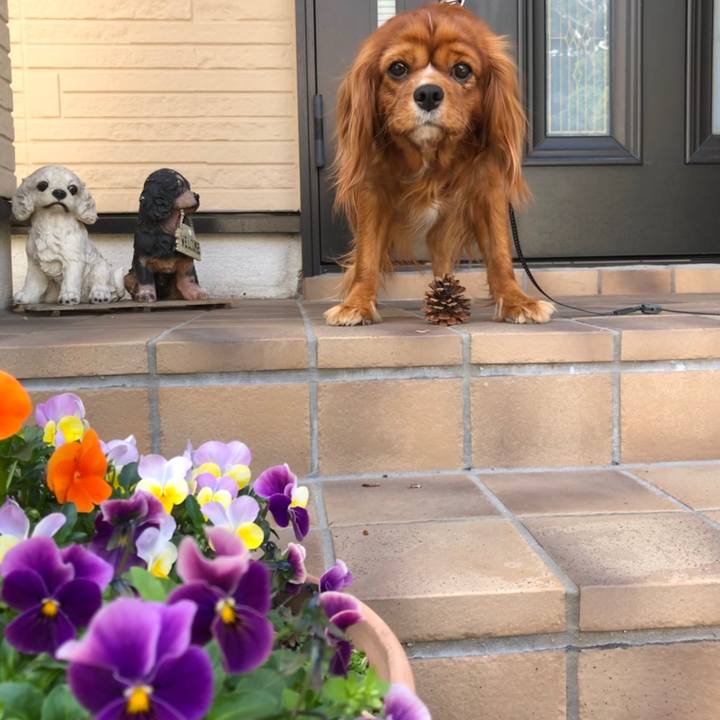 D215b22a e1e0 42b5 87e1 ab27de891ecb 1586212087015