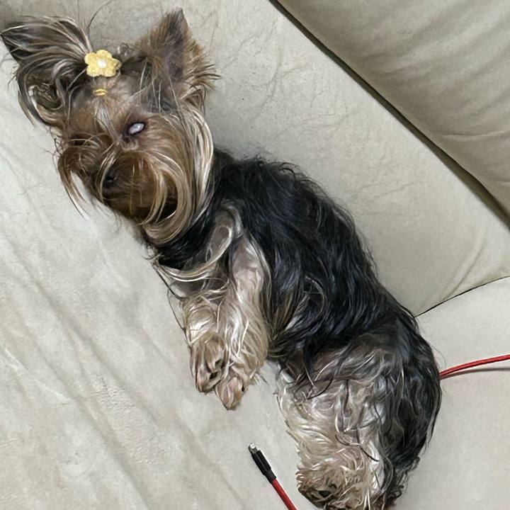 D215b39b 6d4e 48c8 b839 69f44bd70042 1691237847542