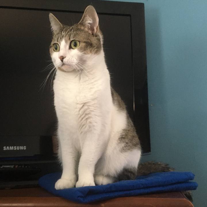 D215e110 b8e2 4c1a 85a8 7acac1c839ad 1618179120886