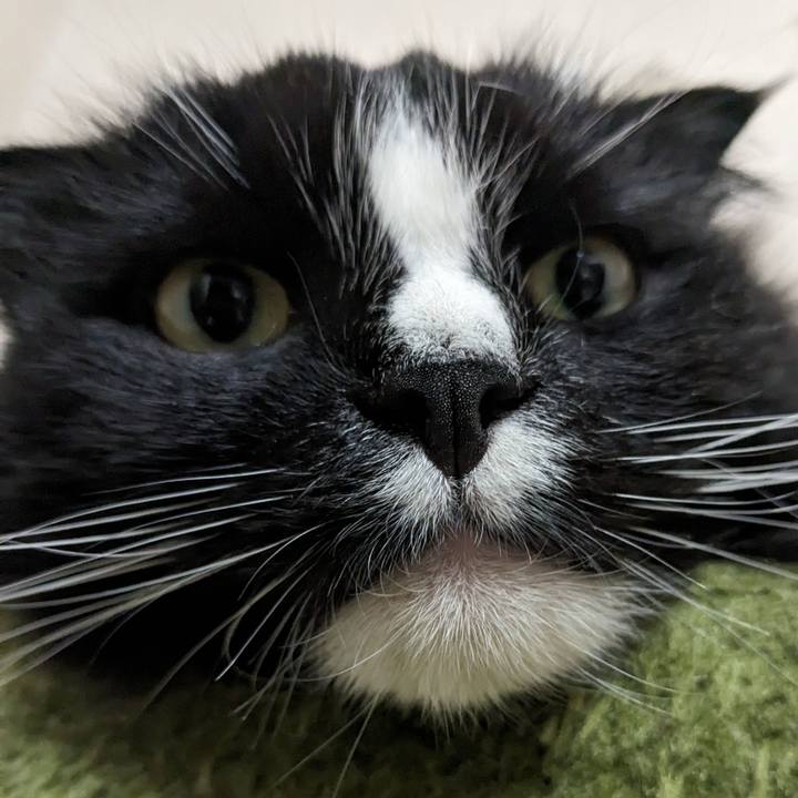 D215eb02 5506 42b2 8fb0 0ed4da97713a 1716810701694