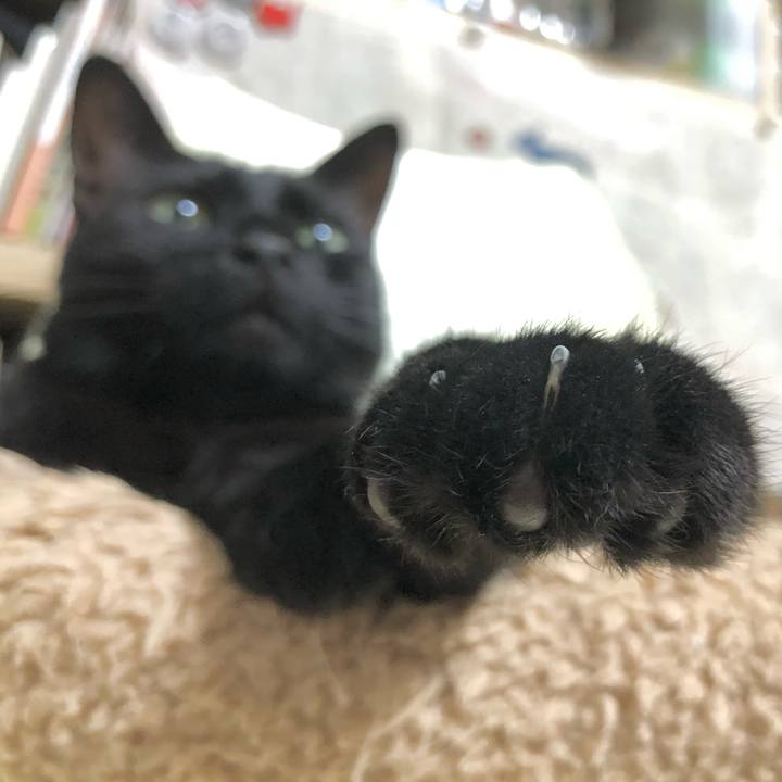 D215f3a6 e01a 4d23 8dc0 74136af82d57 1622289183693