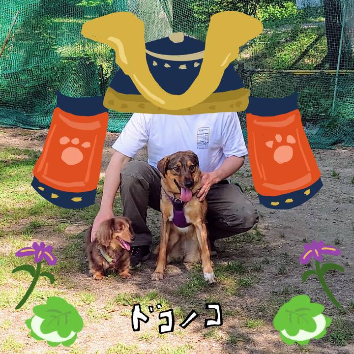 D215f7d5 ded2 4302 b3df cf8b4835a605 1714989959145