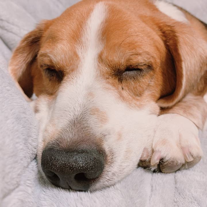 D215fa1f 1a3b 43bf bd95 8c9231101e08 1702044762762