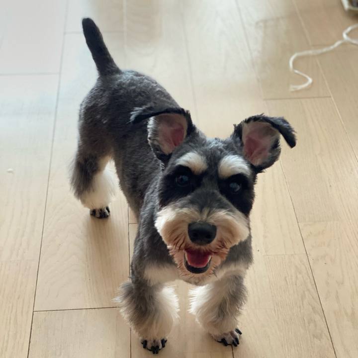 D2161350 61f6 49fc b1f6 f93ee06149e7 1628090616228