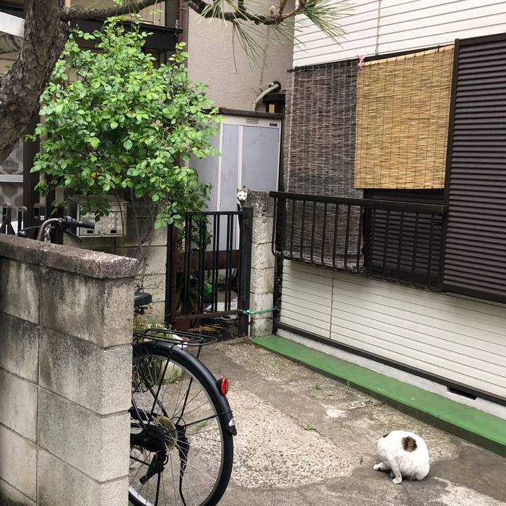 D21642c3 d670 4117 a836 aabc648f2591 1523739358784