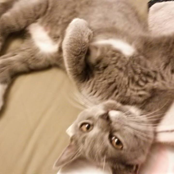 D21658ab 3172 4d62 ae2b 0d1451916061 1535359921266